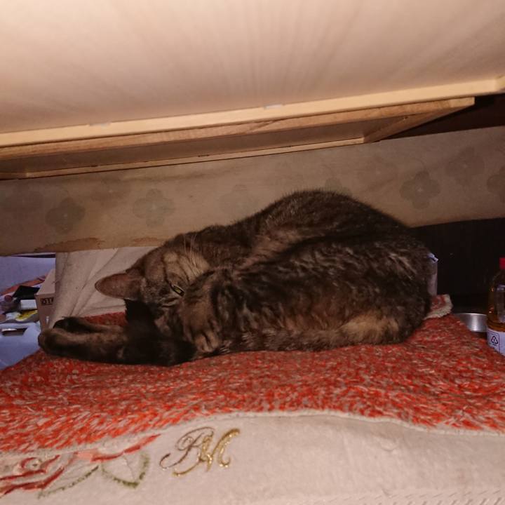 6e8f265c d480 4b1e 9ddf 7d6dbd18e3b7 1571259943967