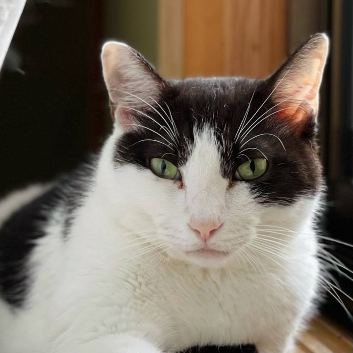 6e8f787b 24fb 4e42 82ed 976942352157 1630982779456