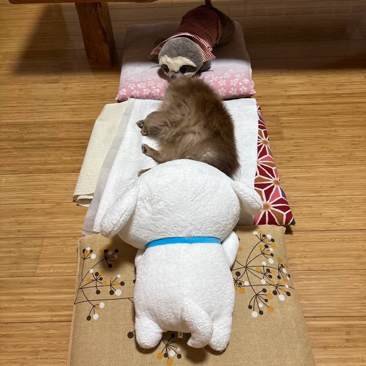 6e8f84ac 3691 4b76 9b02 aa3cca0676b3 1775123472358