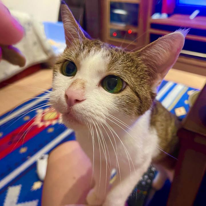 6e8f92aa 278b 42a7 be2f ad01ab711d6e 1629197804786