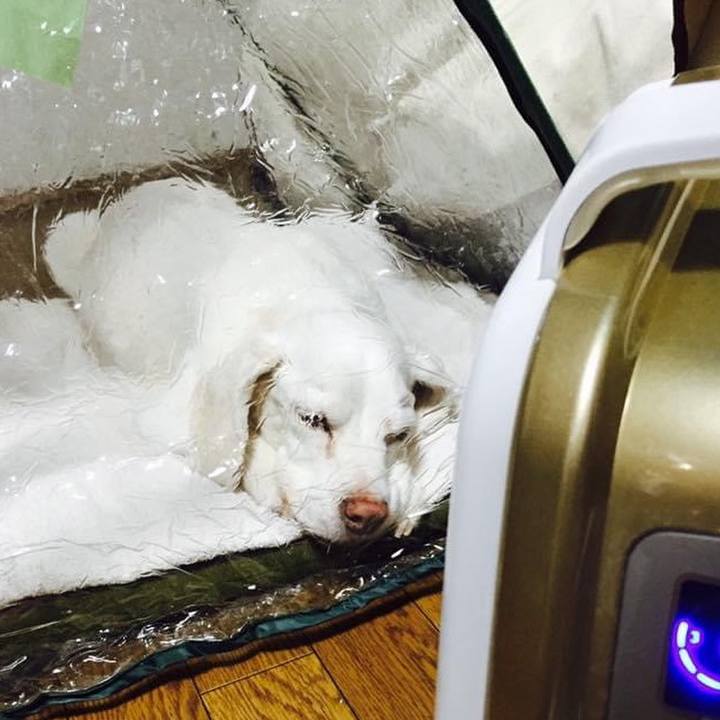 6e8fc446 b502 4228 a2cf 2104267e690c 1594541262908