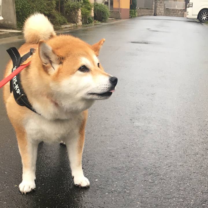 6e900362 cbad 4735 a4bd 6f7e69aed2d4 1594631767875