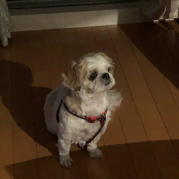 6e900aeb 6469 4543 bf2f bf997dfd5a42 1568756872811