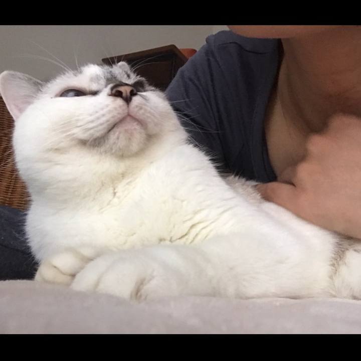 6e902492 5b01 4297 9abf 19b752256009 1508562788236