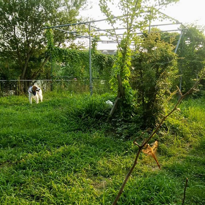 6e903344 711e 4b2f a61b 3934678bab26 1564744838850