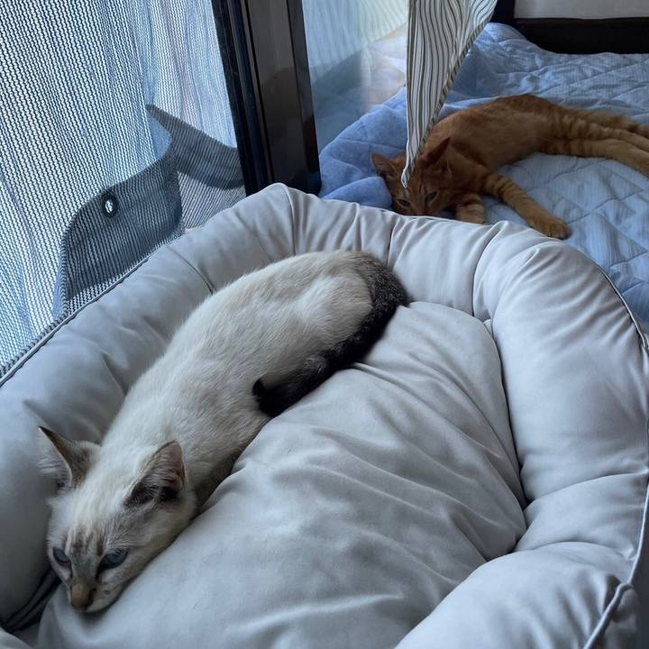 6e905db7 450b 4b36 8d46 5e4805226fab 1729113962136