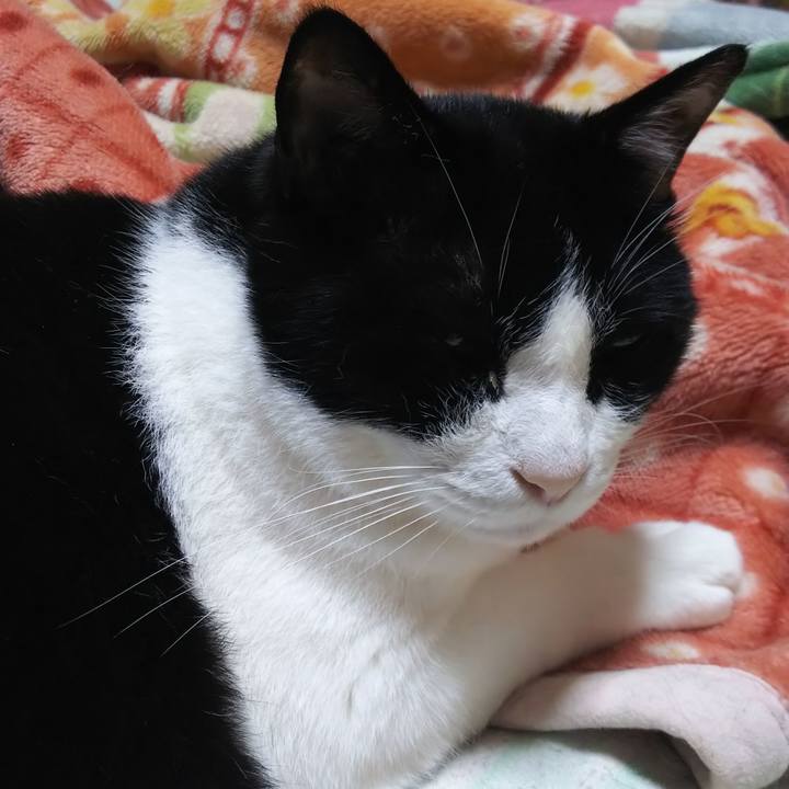 6e90a748 2310 4db8 baa2 32375792b097 1561851530230