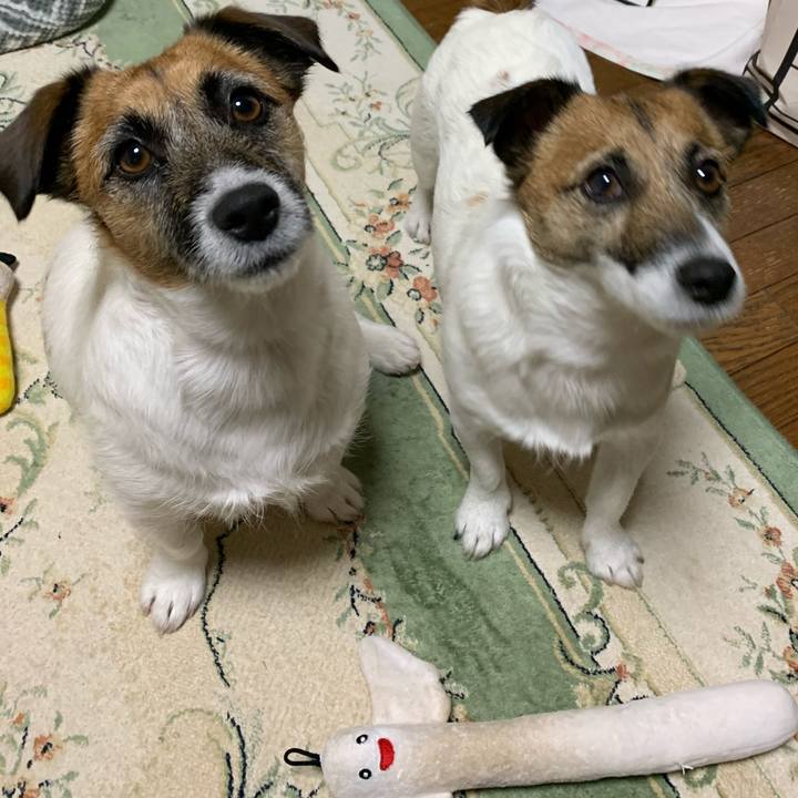 6e90d47b 8749 4713 b3cd 8b00a399dd4d 1580368680680