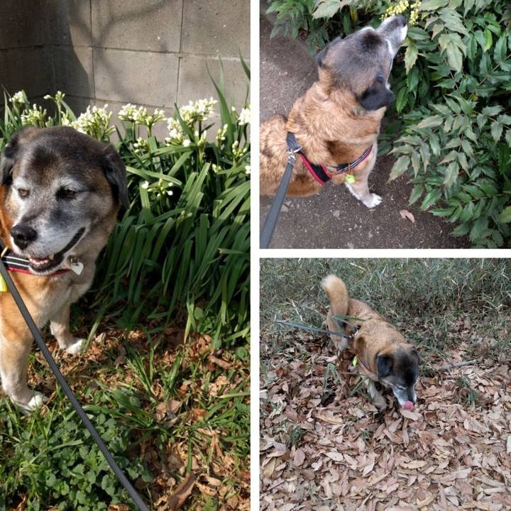 6e90e29b e642 4a53 9645 8034d3f5623d 1521160120696