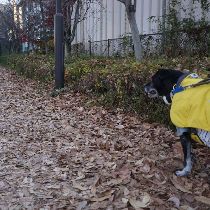 6e90ee1a 755a 4a27 95e0 a22726beee19 1764980712253