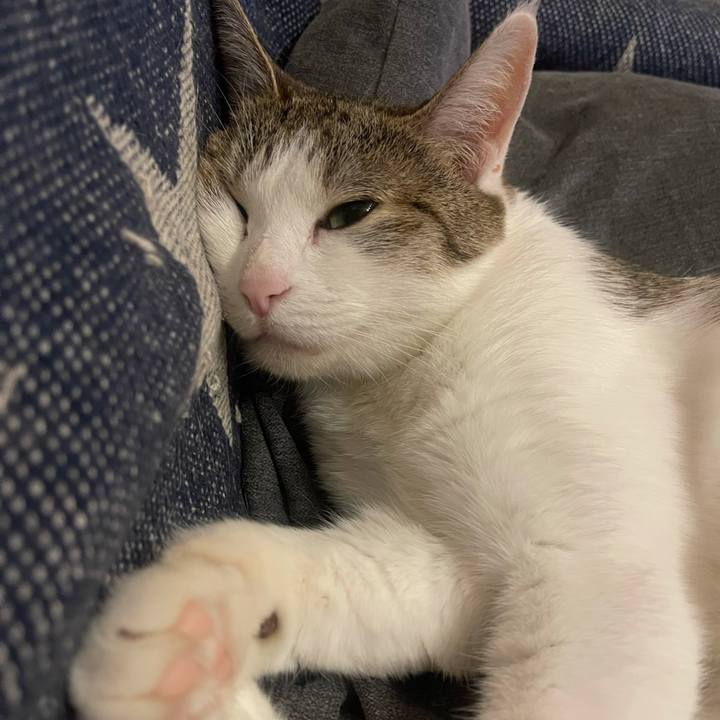 6e90ee71 3cfd 4ff1 ba5a b14028278493 1627383401460