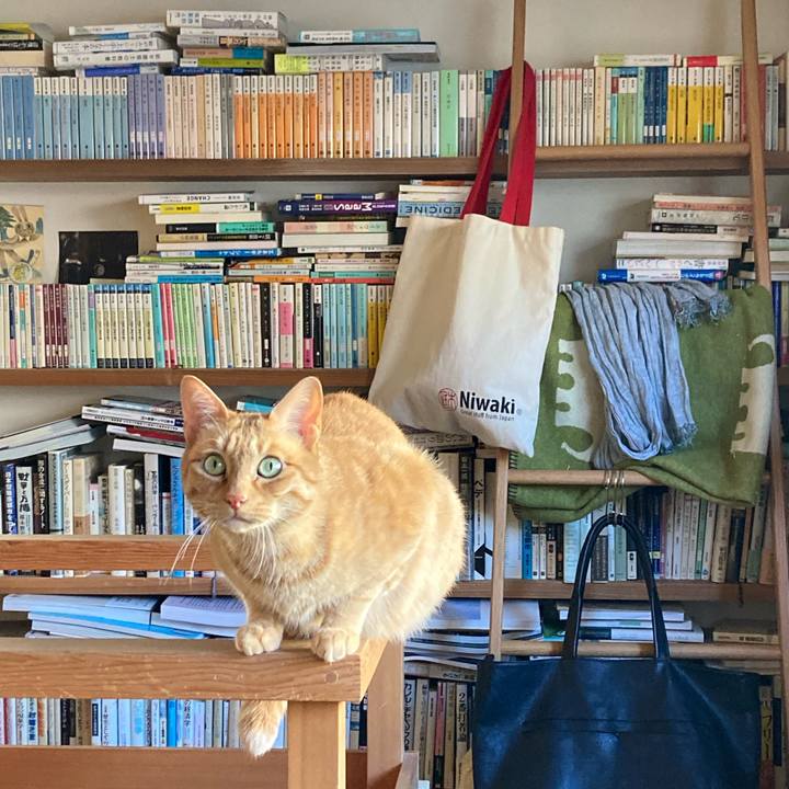 6e9142d9 e0ce 4fcc 9984 044f88828b7a 1676548072269