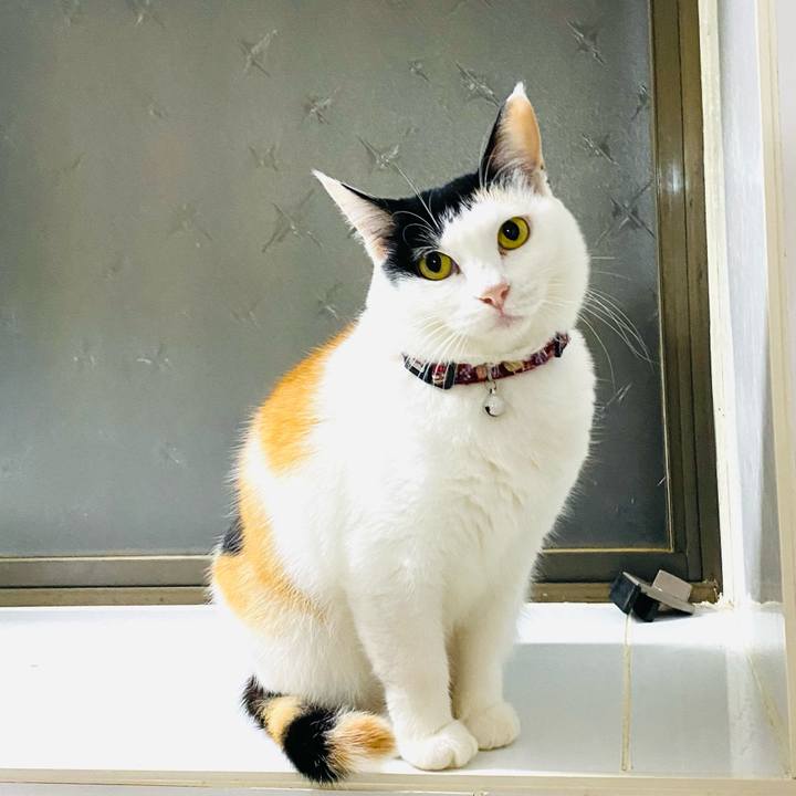 6e9156f3 f8ff 4c99 aa65 a1b46bbb5b34 1667480423784