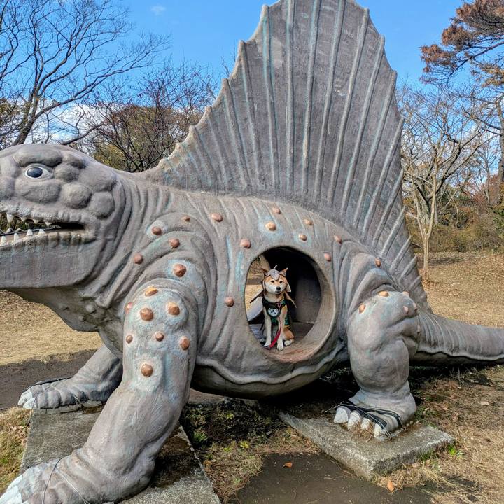 6e915804 3100 4869 bbe8 2834bbb58007 1766120405112