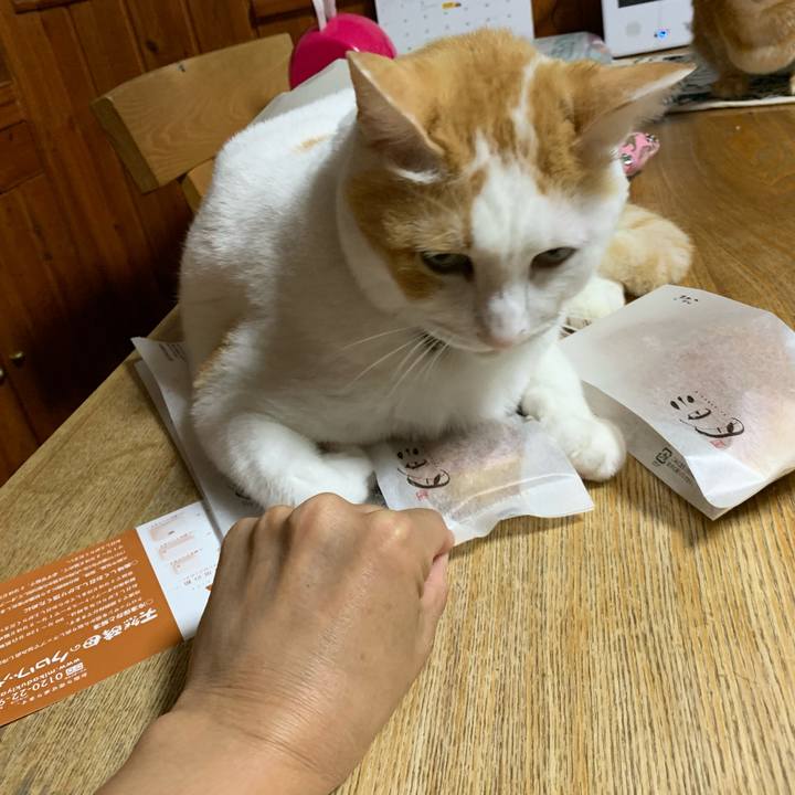 6e917023 165a 4bd9 9dcf 974a26935269 1570975148242