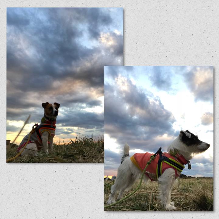 6e918995 ee64 4c63 a2ef 589891a44125 1510819102147