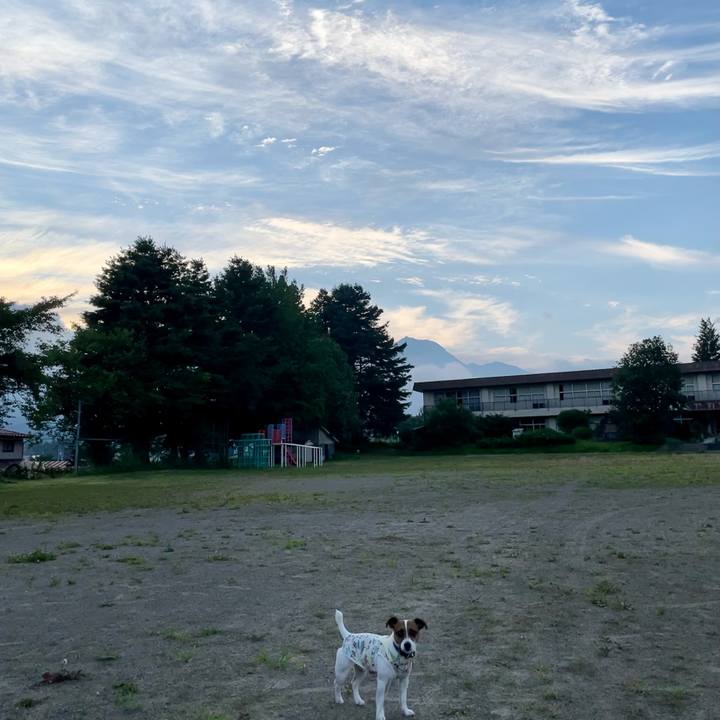 6e918f8a 06bf 47fe 9887 54d28a7cc3a3 1627297972948