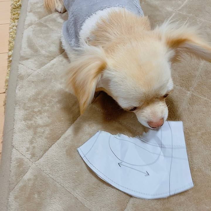 6e91910c f4a2 433a aa55 1f67790bfa92 1613381720691