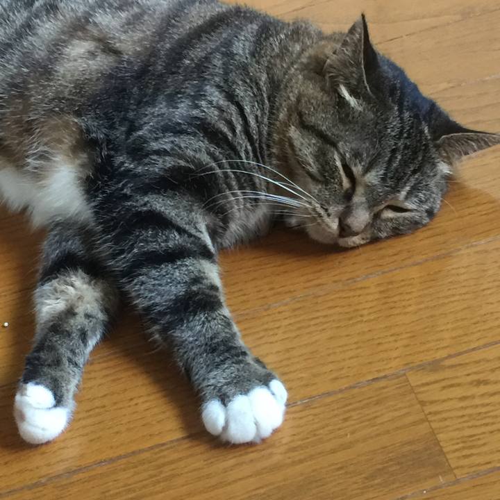 6e919f2c 4666 4278 98e8 90b7147079a5 1564121469532