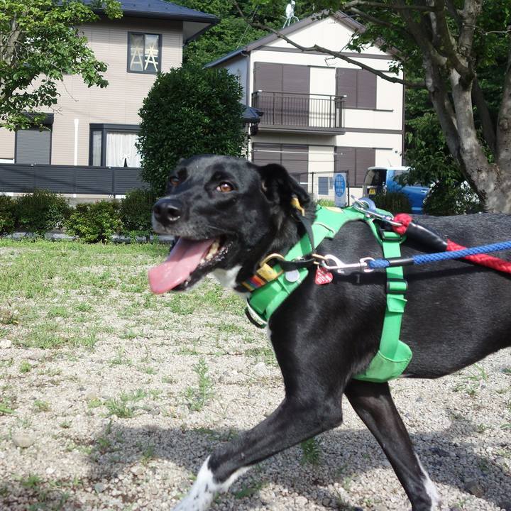 6e91a47a aac1 403c 822b 0b359b75e983 1591918050951