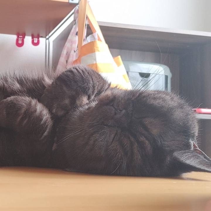 6e91caae 2196 480b 82e0 275b6aae3d06 1636247416590