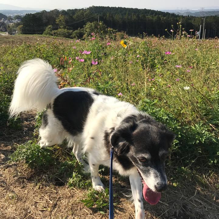 6e91cc79 e2ff 4634 afdc 461b790b2189 1509020838814