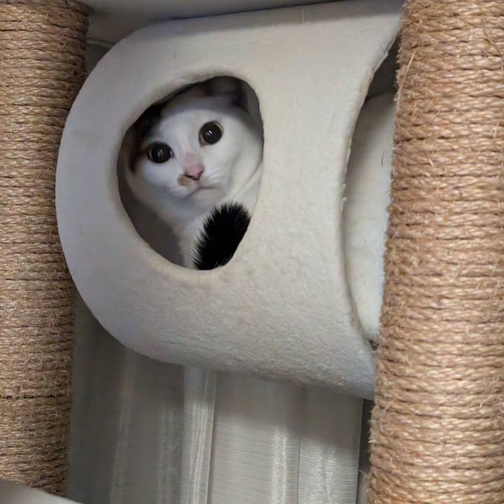 6e91f966 f520 4d01 96a9 6d449d95d97c 1732288809722