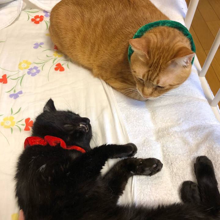 6e921272 62e5 43c5 98af 3759ca7d42dc 1577053107149