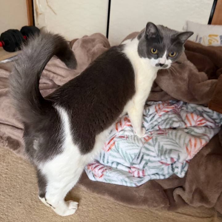 6e9214cc ea65 4258 b614 55fd754aa104 1764033264705