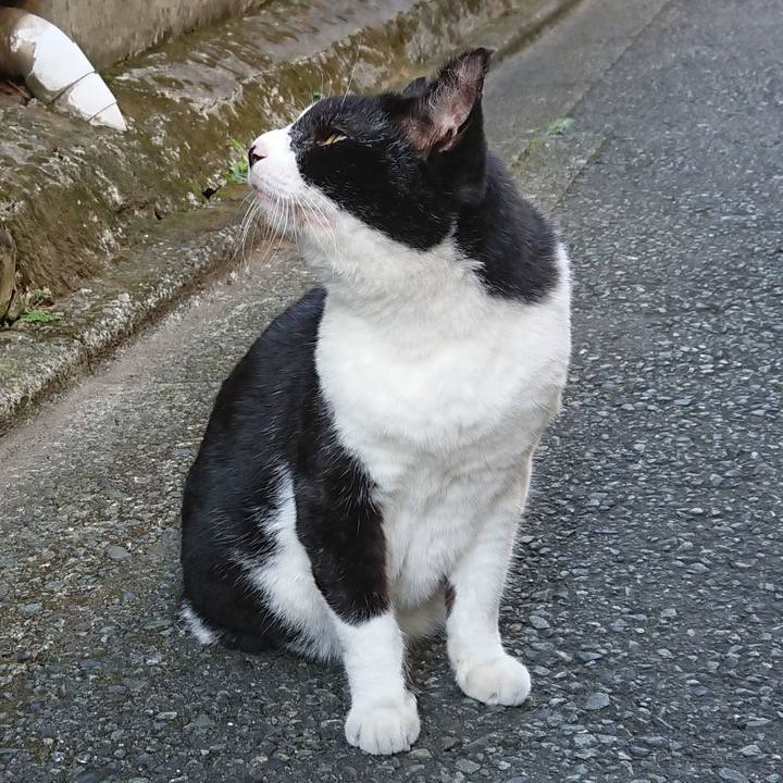 6e921b03 8f0e 4113 882b d6dbc8dbe31d 1696289448297