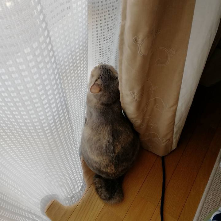 6e922e28 aa34 4a7d a452 0d941c3045fe 1553226418164