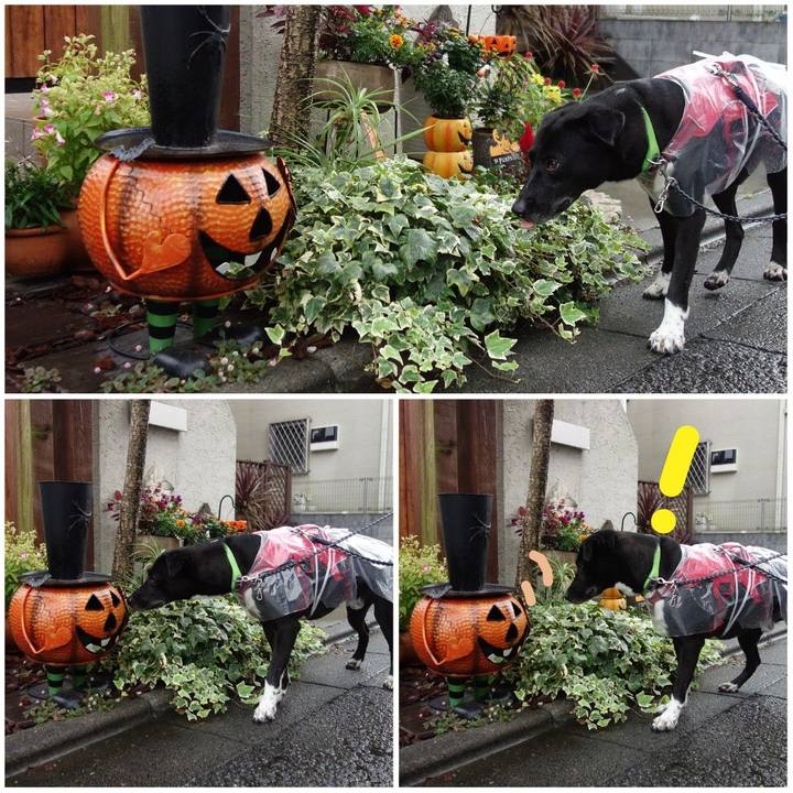 6e9252b3 7816 4828 a5d0 bf7780159358 1634345968899