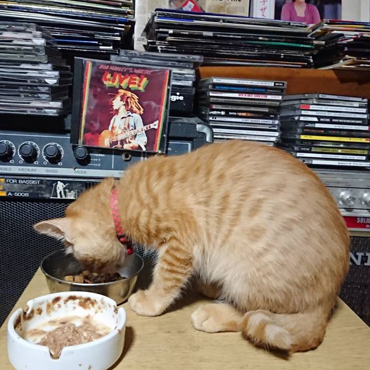 6e925e4d 13a4 4159 9858 f0a380f5c2ba 1632397261084