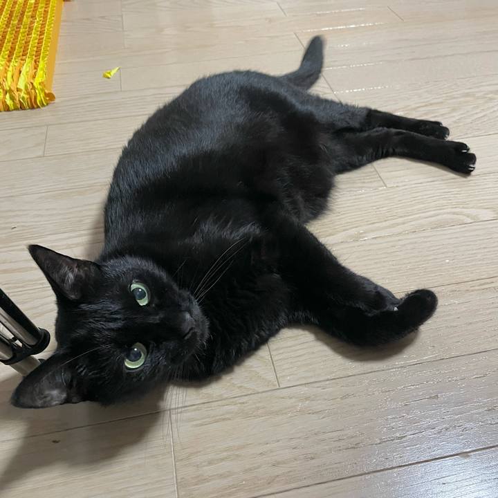 6e926b9c cb86 45b9 9c83 0761cca952a0 1731934790039