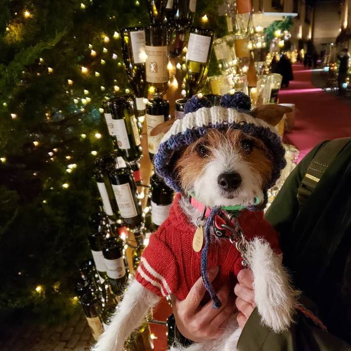 6e927495 cd6b 4ae0 a187 42794d247b3d 1638615610240