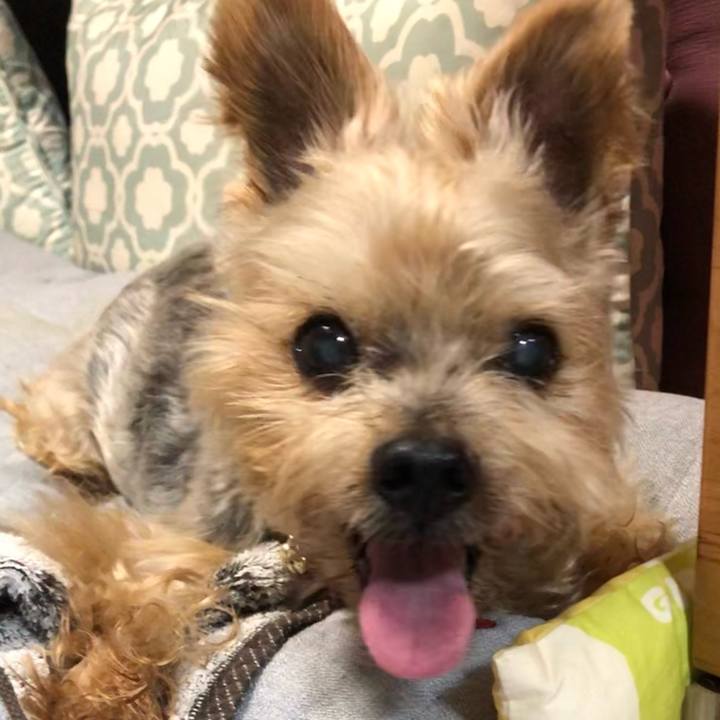 6e9287da 5a9a 4c13 aec9 ce992ef1ee4a 1763529141199