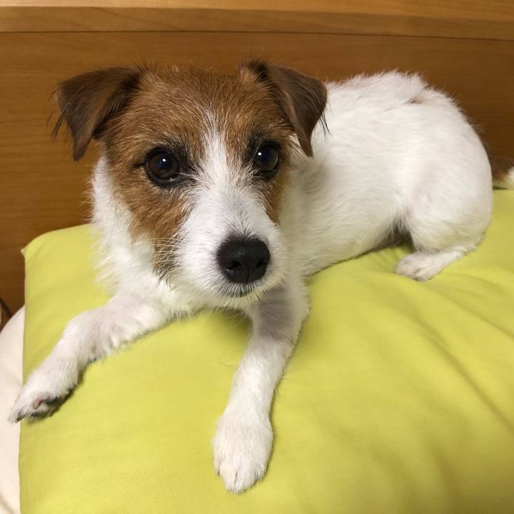 6e937489 a8c7 4762 84e9 2b359e880c8c 1538304243989