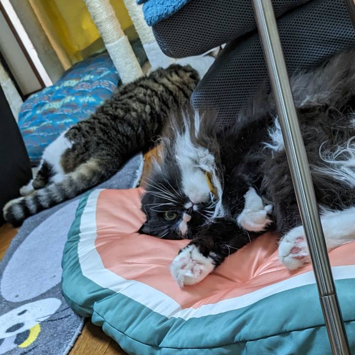 6e939c99 20c7 453a 9171 1b3cdae72c5f 1694654831291