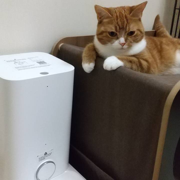 6e939df1 d007 40eb aae3 9041c8375634 1658797889006