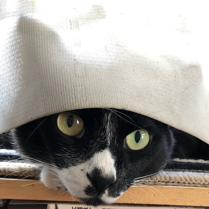 6e93b23f fed2 457b 9d07 8b2aabd9940d 1595473190067