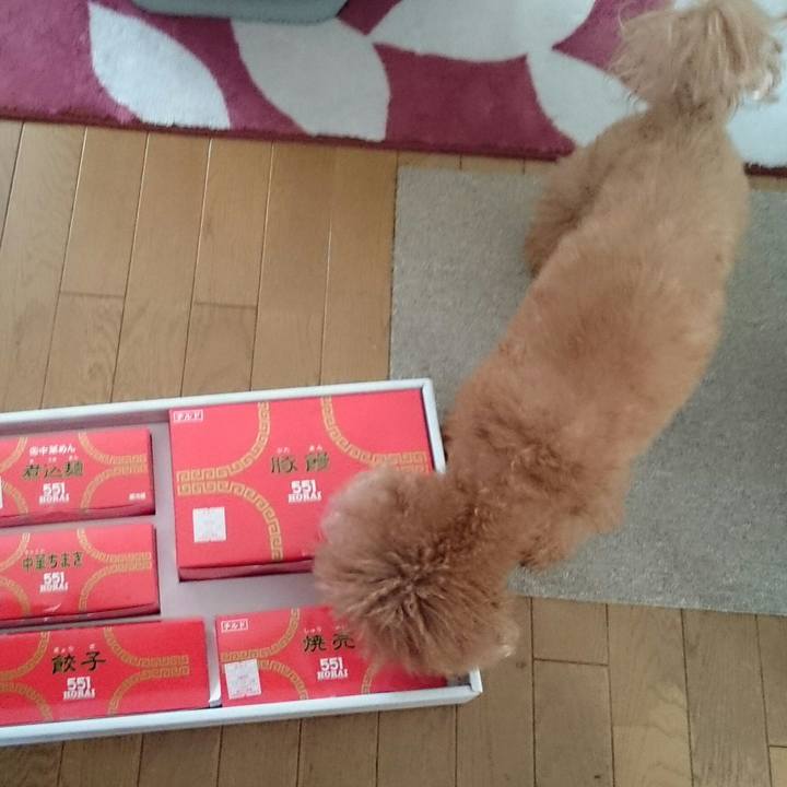 6e93f5f3 9d02 48eb aa55 92f067e5c265 1512519975207