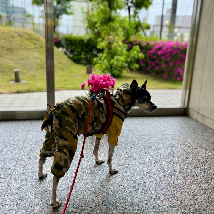 6e941f5a 7b17 421c b174 d6a2bdf70a43 1650761978964