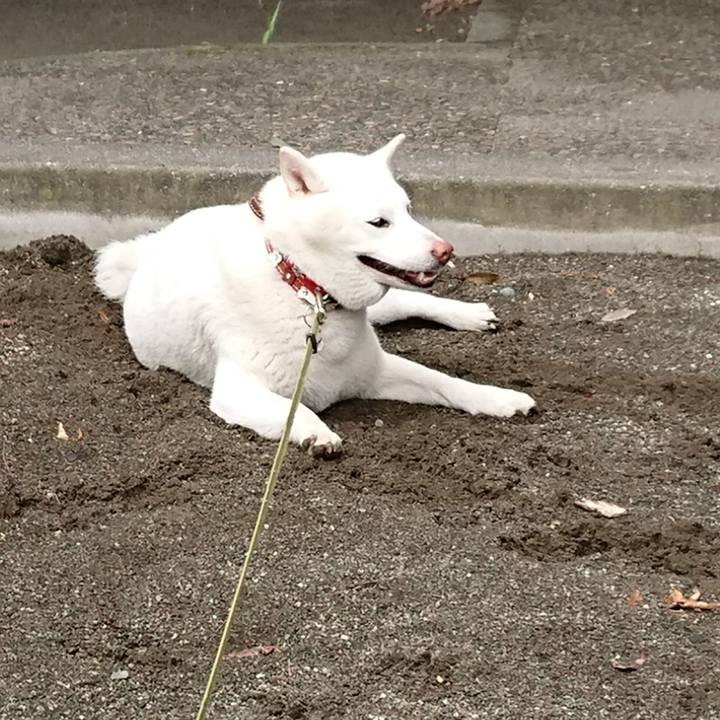 6e942389 cbb1 42e6 80ea 3fefb714dd8a 1532473512349