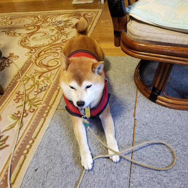 6e945870 14bc 47f5 958e 336fe9fd1bd5 1554863613165