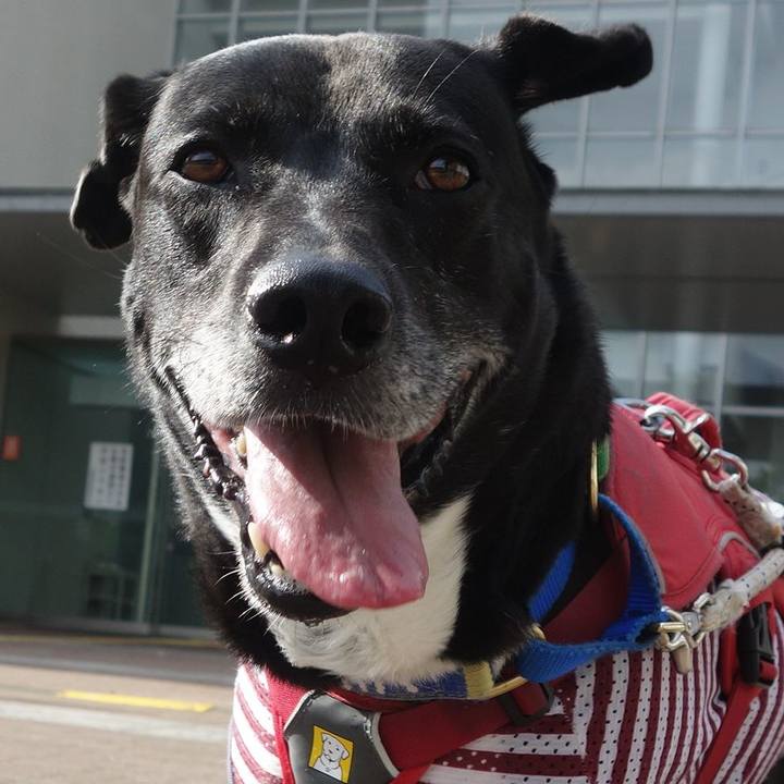 6e948dd2 1370 40b7 8ff4 7c70ff26b019 1683335699820