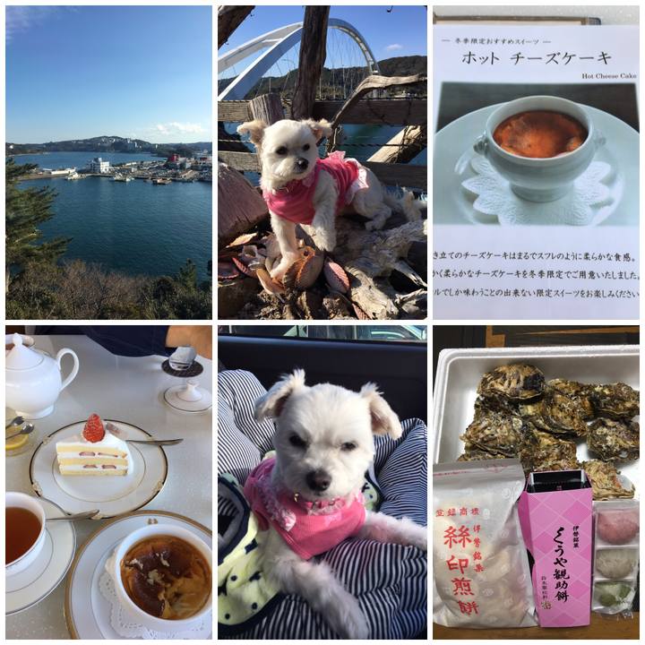 6e94961d 08f2 4677 9a73 0a15a4e9cad6 1547891853684