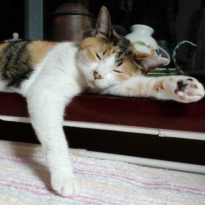 6e94cde6 d252 4455 b5d9 a127a42d3326 1651484676693