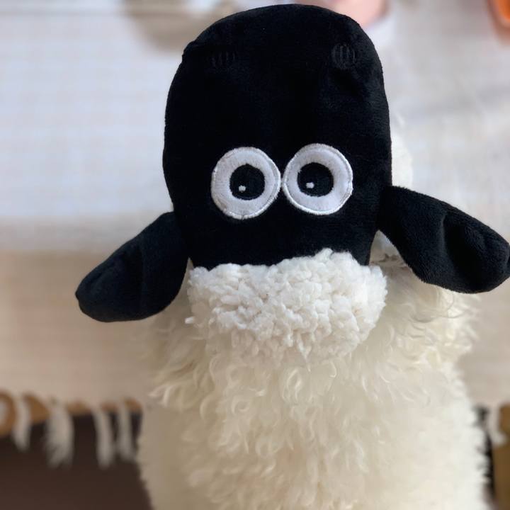 6e951c87 d1dc 4fc0 ae5e ea52bebb7c3a 1549779745881