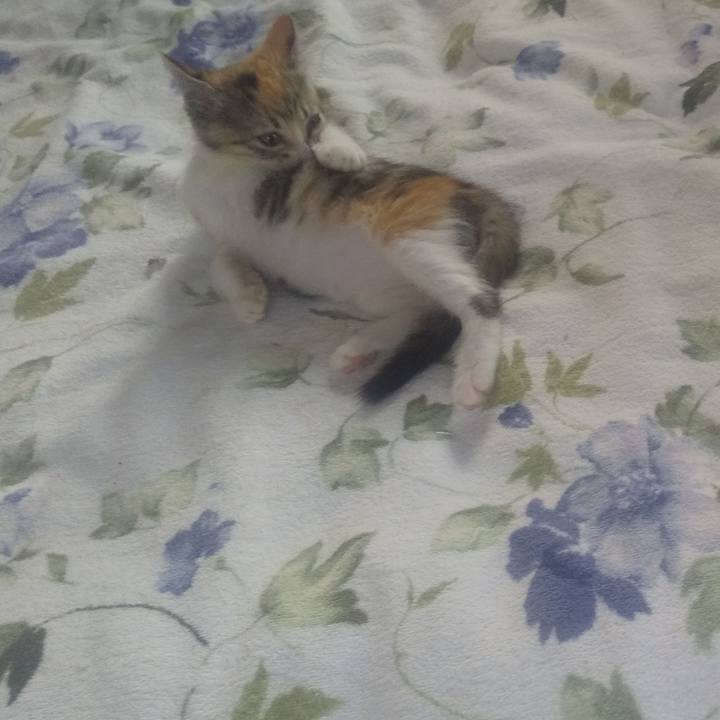 6e952009 4589 484a 927d ec9d0f5cea3a 1721430988884