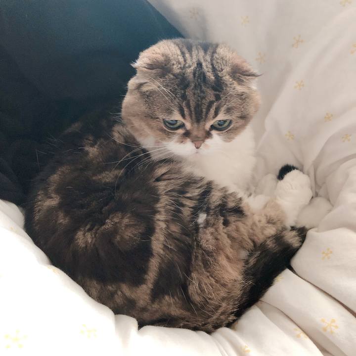 6e9555eb 4931 4382 867d 85a27360b9a9 1555053062366